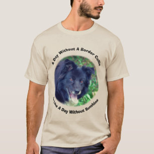 Camiseta Dia de Collie de Fronteira Sem