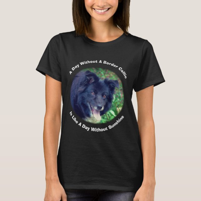 Camiseta Dia de Collie de Fronteira Sem (Frente)