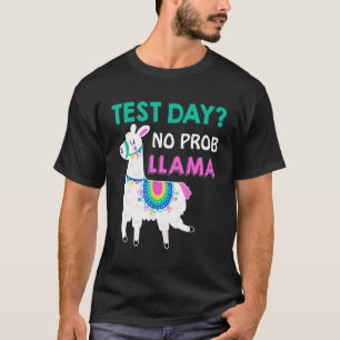 Camiseta Dia de Teste Sem Prob Lama Llama Dia de Teste do P