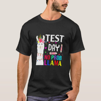 Camiseta Dia de Teste Sem Prob Llama Llama Professor