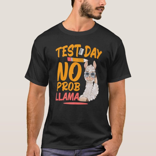 Camiseta Dia de Teste Sem Prob Llama Llama Professor e Test (Frente)