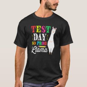 Camiseta Dia de Teste Sem Prob Llama Teste Dia de Teste Tes