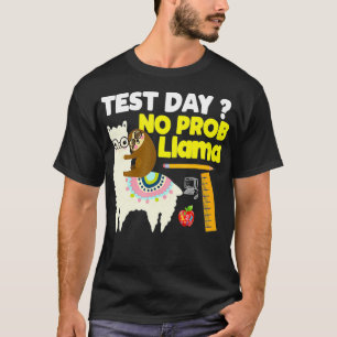 Camiseta Dia de Teste Sem ProbLama Funny Exam Com Lenta E L