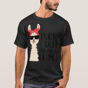 Camiseta Dia de Teste Sem Problema Engraçado Teste de Prof