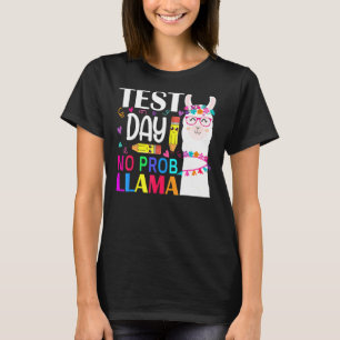 Camiseta Dia de Teste Sem Teste Prob Llama Professor Teste
