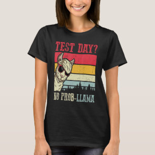 Camiseta Dia de Teste Sem Teste Prob Llama Professor Teste 
