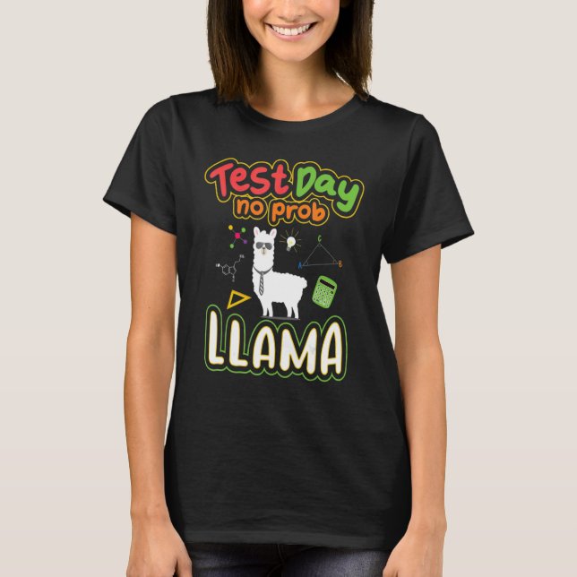 Camiseta Dia de Teste Sem Teste Prob Llama Professor Teste  (Frente)