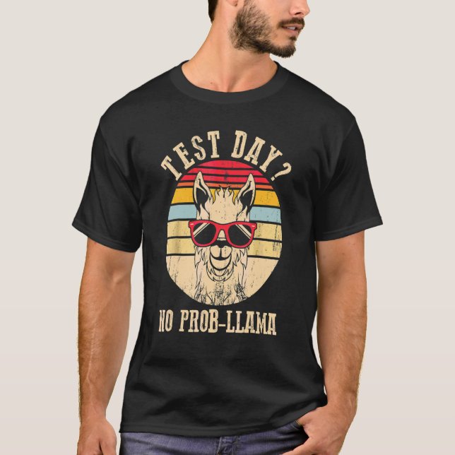 Camiseta Dia de Teste Sem Teste Prob Llama Professor Teste  (Frente)