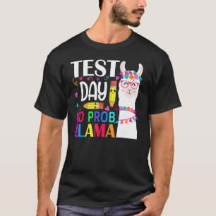 Camiseta Dia de Teste Sem Teste Prob Llama Professor Teste 