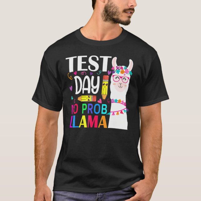 Camiseta Dia de Teste Sem Teste Prob Llama Professor Teste  (Frente)