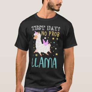 Camiseta Dia de Teste Sem Teste Prob Llama Professor Teste 