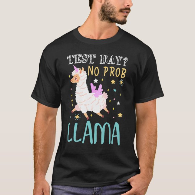Camiseta Dia de Teste Sem Teste Prob Llama Professor Teste  (Frente)