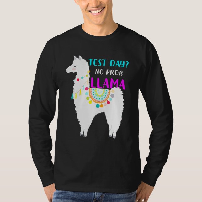 Camiseta Dia de Teste Sem Teste Prob Llama Teste do Profess (Frente)