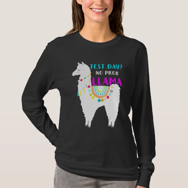 Camiseta Dia de Teste Sem Teste Prob Llama Teste do Profess (Frente)