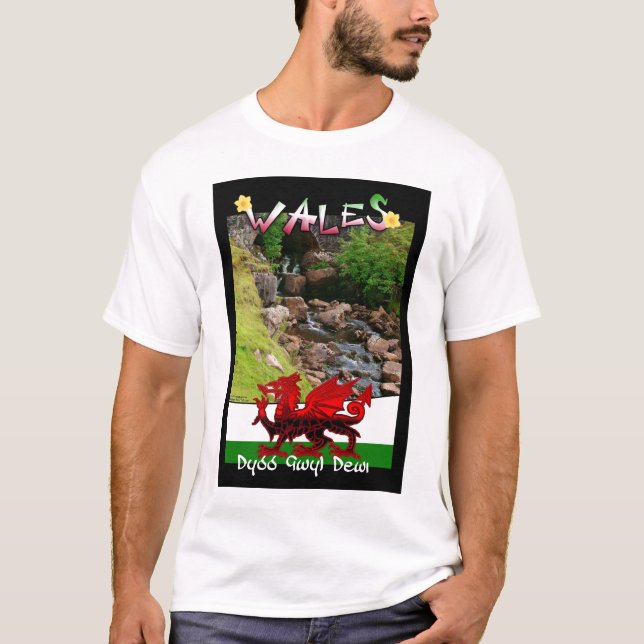 Camiseta Dia de Wales St David - Dydd Gwyl Dewi (Frente)