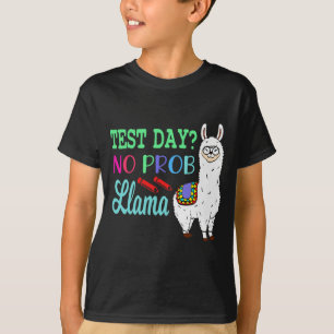 Camiseta Dia sem Prob Llama Dia de Teste Sem Problema Dia d