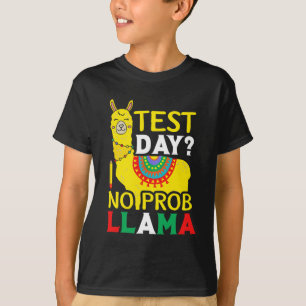 Camiseta Dia sem Prob-llama Professor Ensinando Teste de Ex