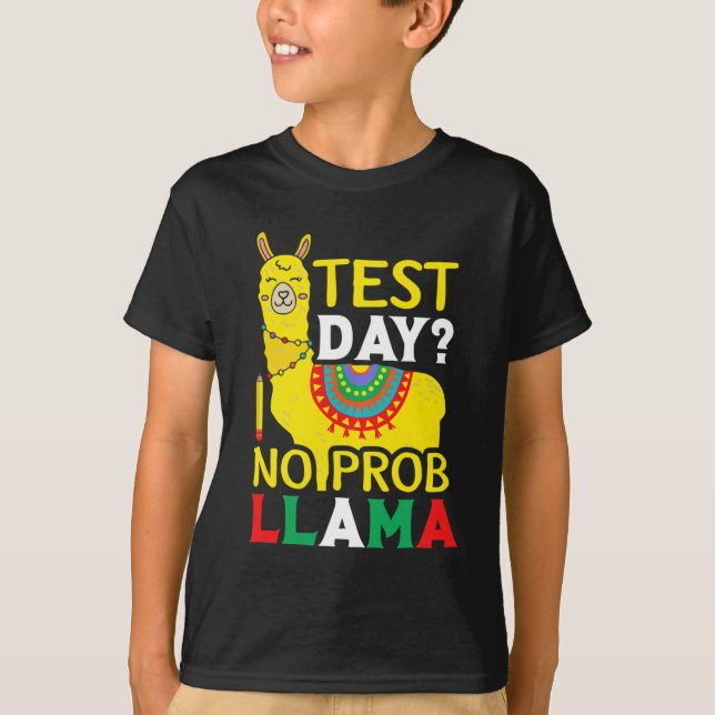 Camiseta Dia sem Prob-llama Professor Ensinando Teste de Ex (Frente)