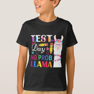 Camiseta Dia Sem Probe Llama Engraçado Professor Testando 2