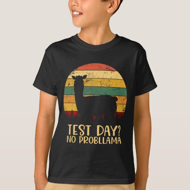 Camiseta Dia Sem Problema Professora Silhouette Gradua (Frente)