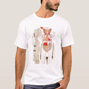 Camiseta Diagrama anatômico