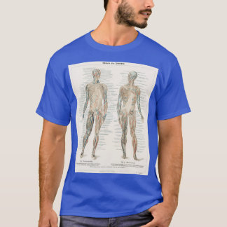 Camiseta Diagrama de Anatomia de Vintage