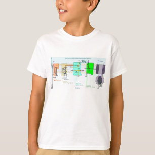 Camiseta Diagrama de espaço de Mitonchondrial Intermembran