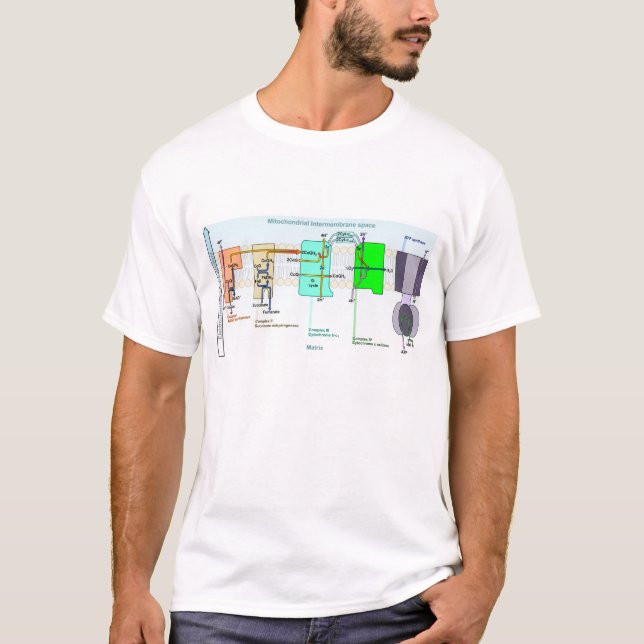 Camiseta Diagrama de espaço de Mitonchondrial Intermembrane (Frente)