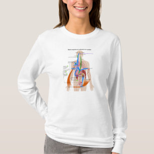 Camiseta Diagrama de sistema do Angiotensin (RAS) do Renin