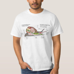 Camiseta Diagrama de um caracol de jardim comum (aspersa da