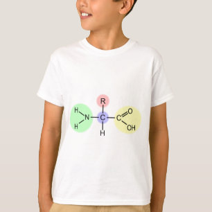 Camiseta Diagrama do ácido aminado