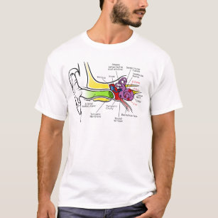 Camiseta Diagrama humano da orelha com traço cocleário da