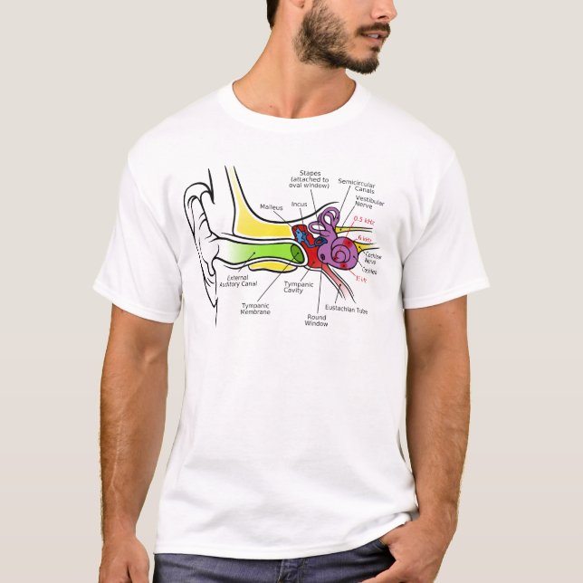 Camiseta Diagrama humano da orelha com traço cocleário da (Frente)