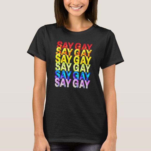 Camiseta Diga Gay Florida Trans Orgulho gay Orud Lgbtq Gay  (Frente)