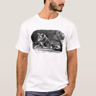 Camiseta dingo