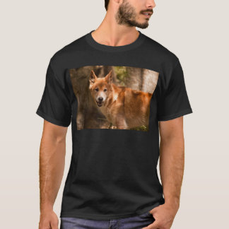 Camiseta Dingo australiano
