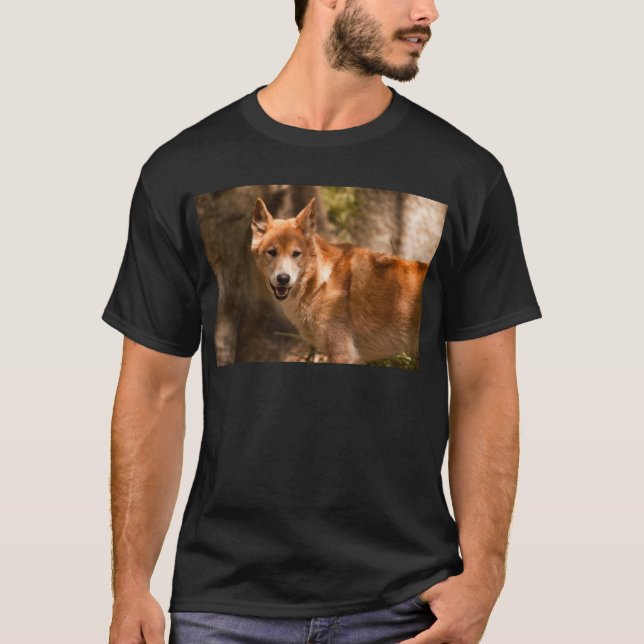 Camiseta Dingo australiano (Frente)