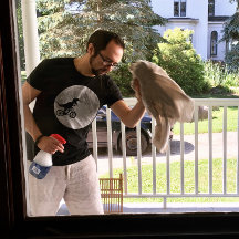 Dinossauro em bicicleta no céu com lua