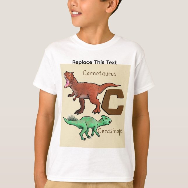 Camiseta Dinossauro ou Animal Pré-Histórico (Frente)