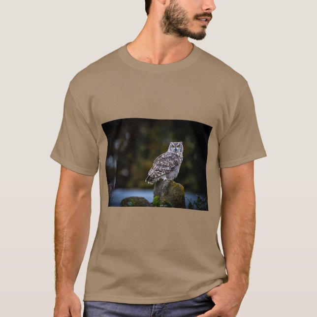 Camiseta Dinydekort Charme Artístico (Frente)