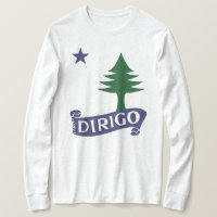 Dirigo / 1901 Maine Flag
