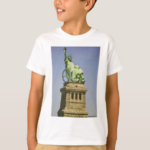 Camiseta dis