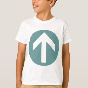 Camiseta Disco de Seta