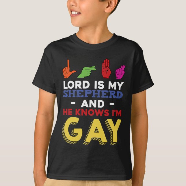 Camiseta Diversão LGBT Orgulho gay Mês de Consciência ASL S (Frente)