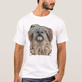 Camiseta Divertida com Boas Vibrações