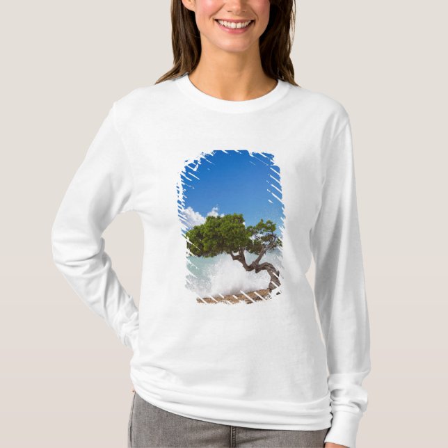 Camiseta Divi Divi Tree, Eagle Beach, Aruba, Caribe (Frente)