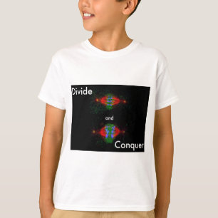 Camiseta Divida e conquiste