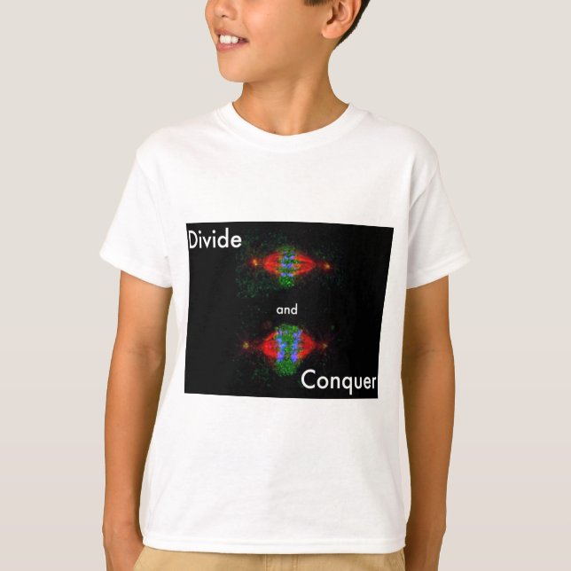 Camiseta Divida e conquiste (Frente)