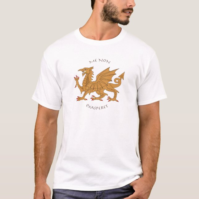 Camiseta Divisas e heráldica Latin (Frente)