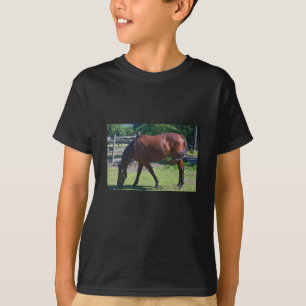 Camiseta do cavalo da criança 100_0830-1
